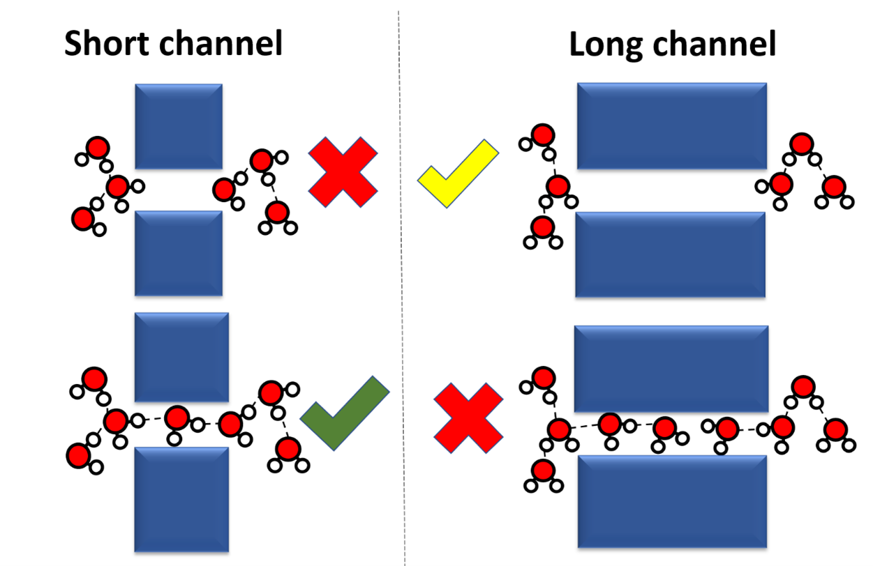 A cartoon representation of water molecules close to short and long channels. In the case that the channel is short and no water molecule is inside less hydrogen bonds are formed that if a water molecule was inside. In the case of the long pore the same is not true, as having water molecules inside the channel would create less hydrogen bonds than having the channel dry