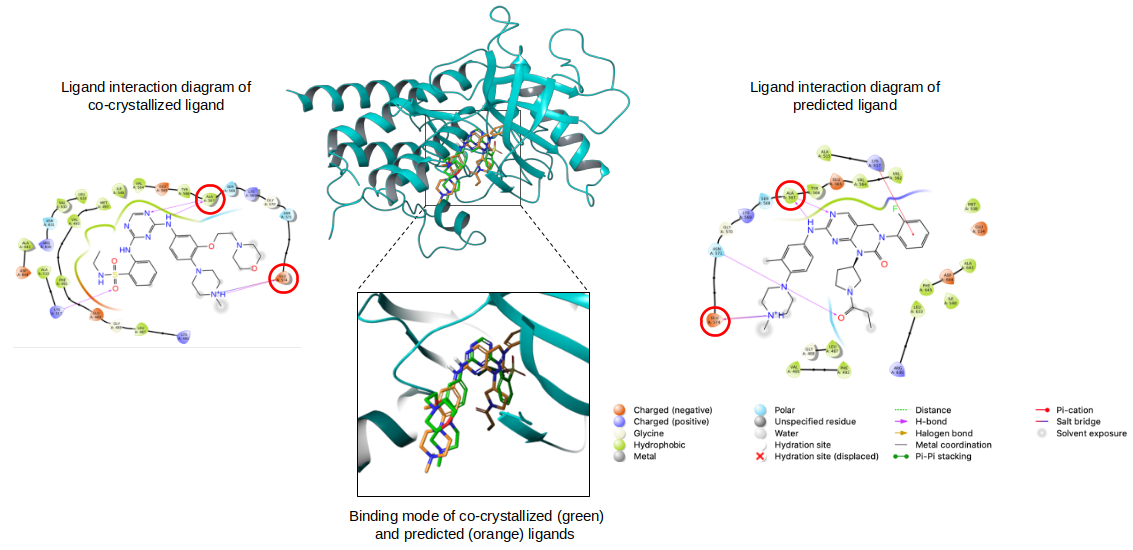 binding-mode-comparison