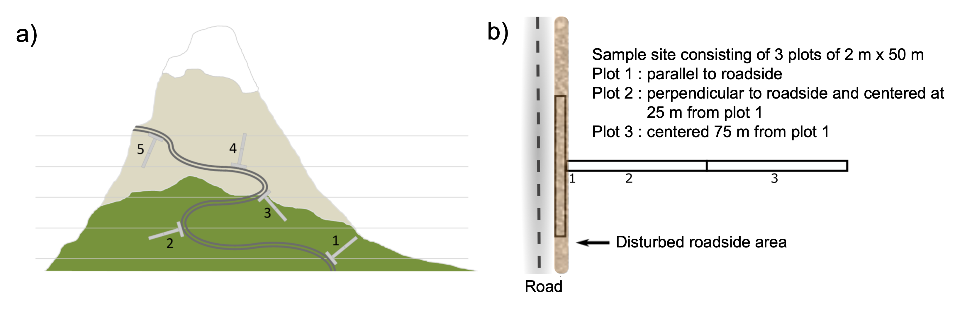 Layout of the MIREN design.