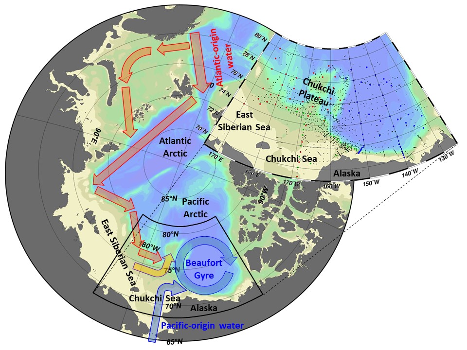 Fig. 1. Maps of the Arctic Ocean and the study area. In (a), blue and red arrows represent flows from the Pacific and Atlantic oceans, respectively, into the study area (outlined). A yellow arrow indicates the flow from the shelf-slope north of the East Siberian Sea. In (b), red, green, and blue dots denote the hydrographic stations conducted by the R/V Araon (Korea), R/V Mirai (Japan), and CCGS Louis S. St-Laurent (Canada), respectively, under the project of Synoptic Arctic Survey in 2020. Black dots indicate other hydrographic stations between 2002 and 2019.