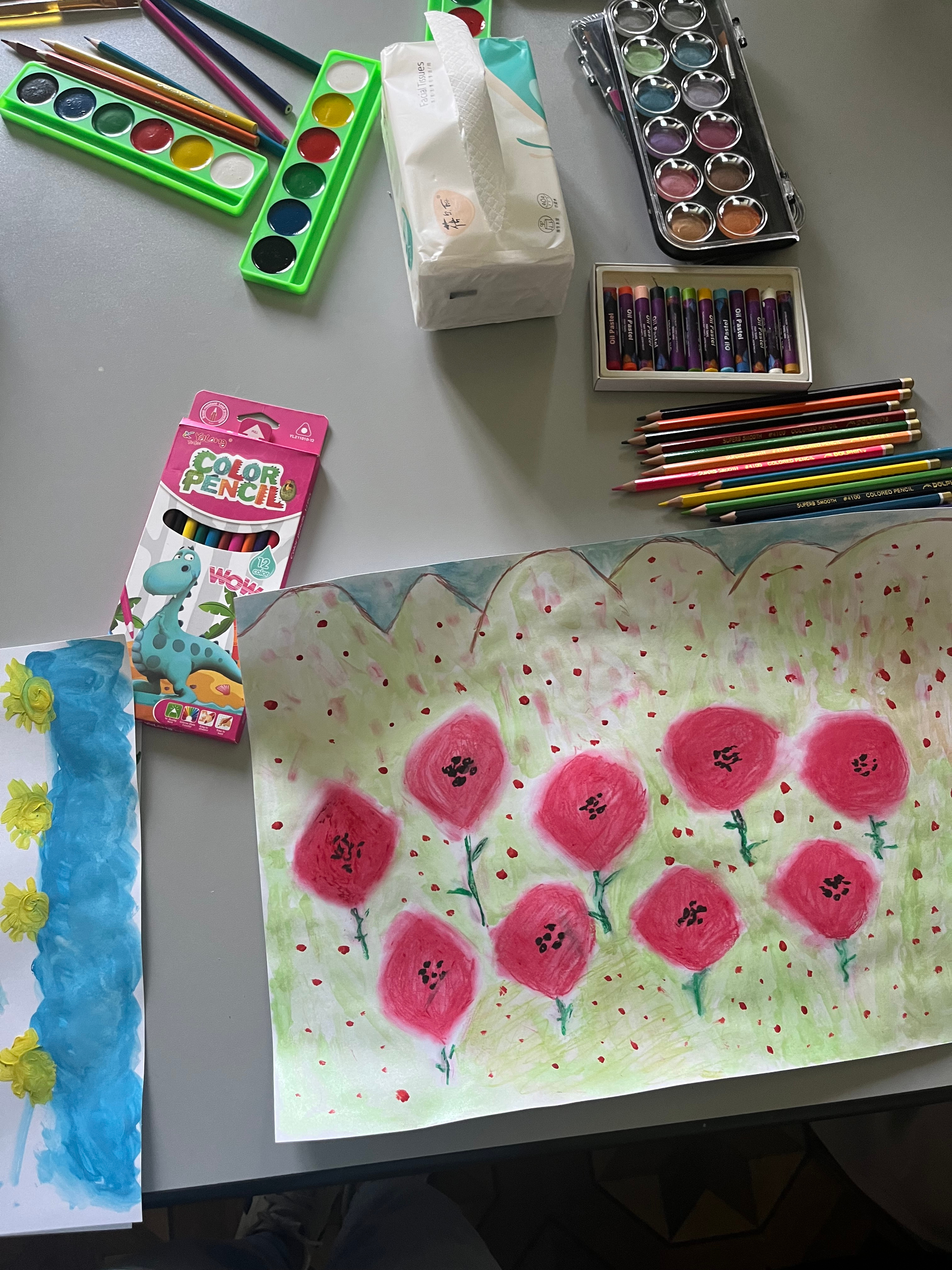 Drawing of poppy flowers