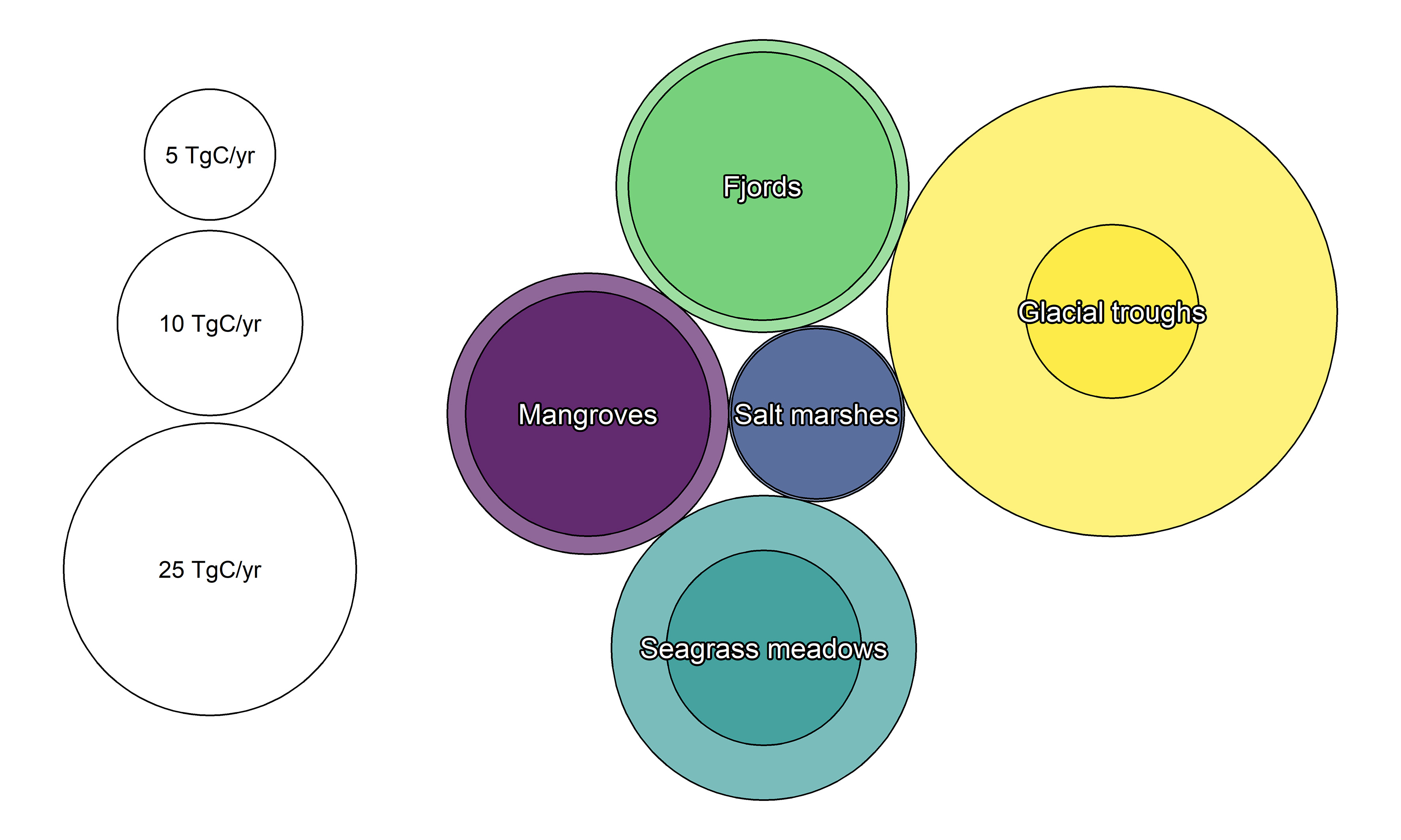A bubble plot showing how much organic carbon is accumulated in salt marshes, mangroves, seagrass meadows, fjords and glacial troughs globally.