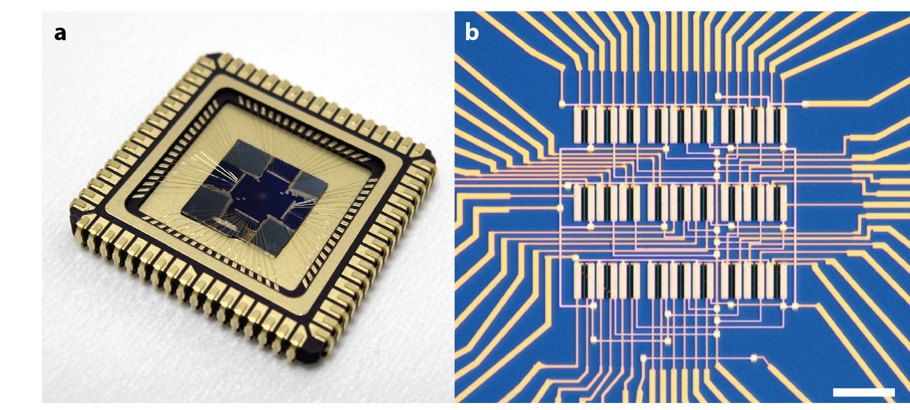 Images of the vision sensor Images of the vision sensor