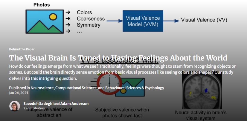 A diagram illustrating the relationship between visual processing and emotional response, accompanying an article on the visual brain's perception of feelings.