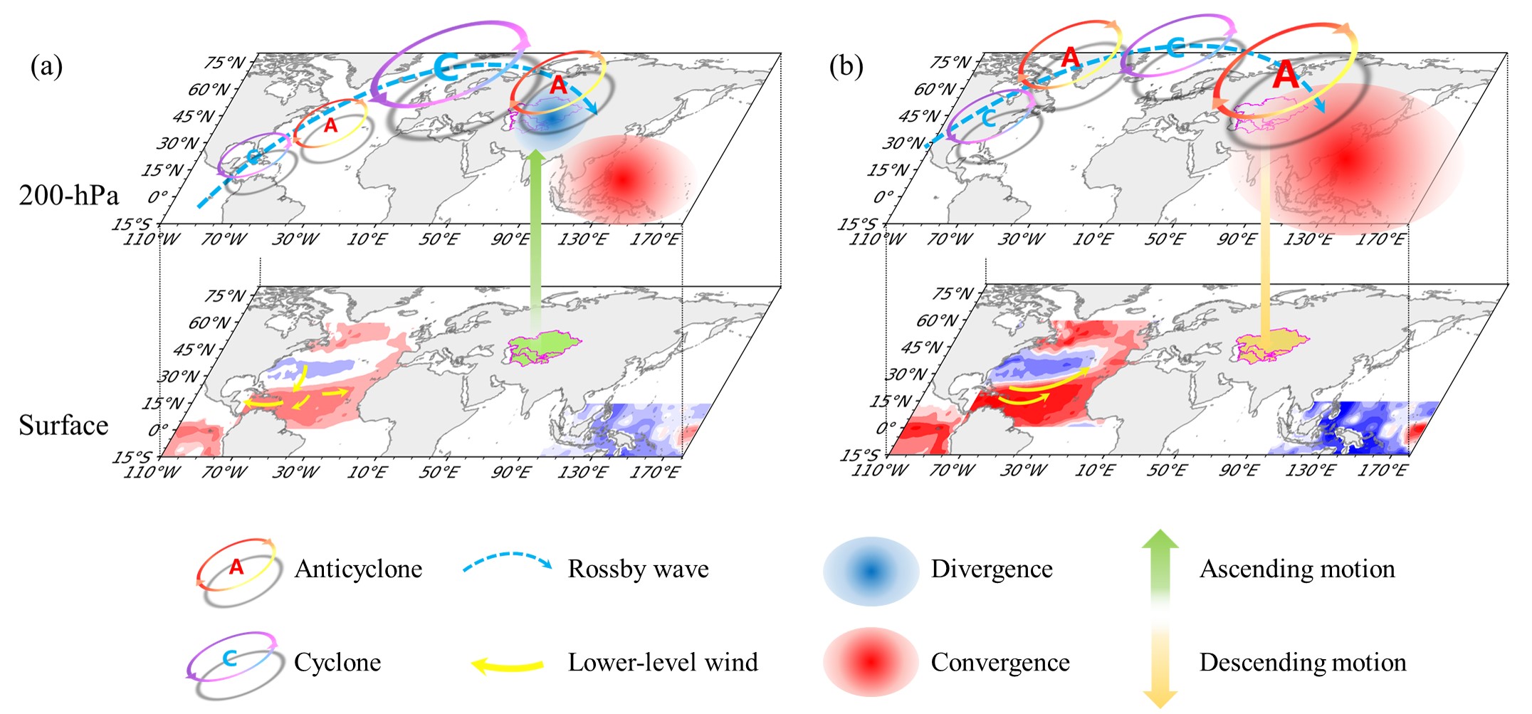 Figure. 2 Schematic diagram illustrating underlying mechanisms of interdecadal shifts in the ENSO–SCAP relationship. (a) is for fast decaying ENSO epochs and (b) is for slow decaying ENSO epochs.