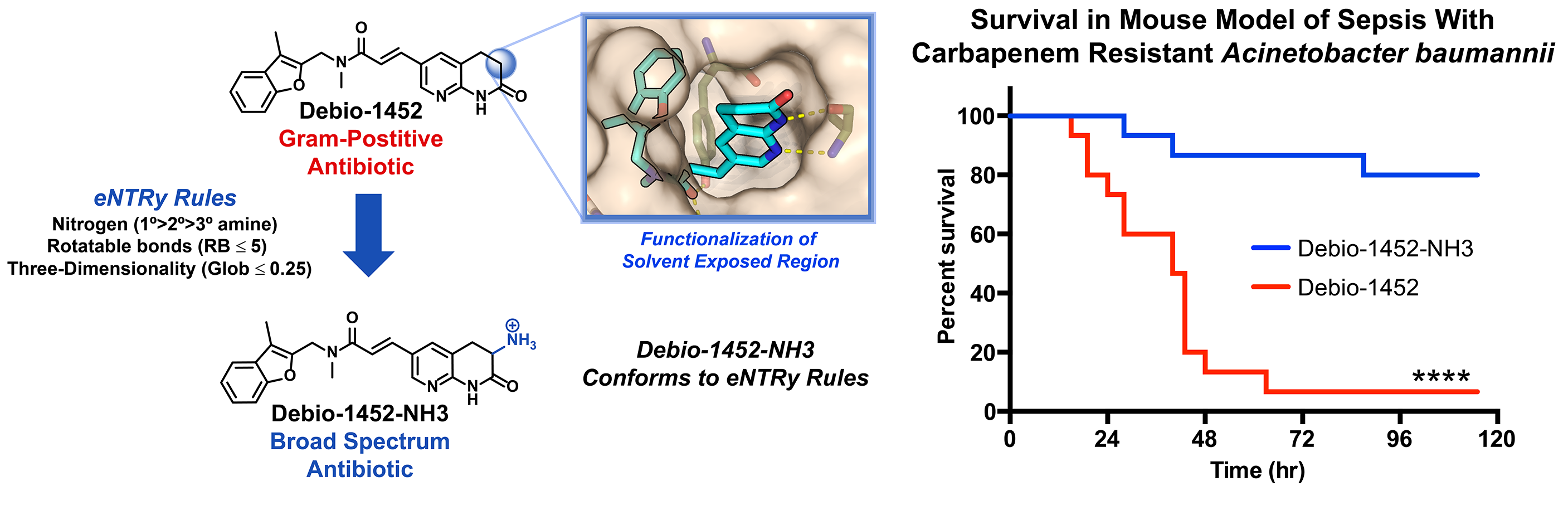 Fig. 2: Brief Overview of Discovery of the Broad Spectrum Antibiotic Debio-1452-NH3 Fig. 2: Brief Overview of Discovery of the Broad Spectrum Antibiotic Debio-1452-NH3