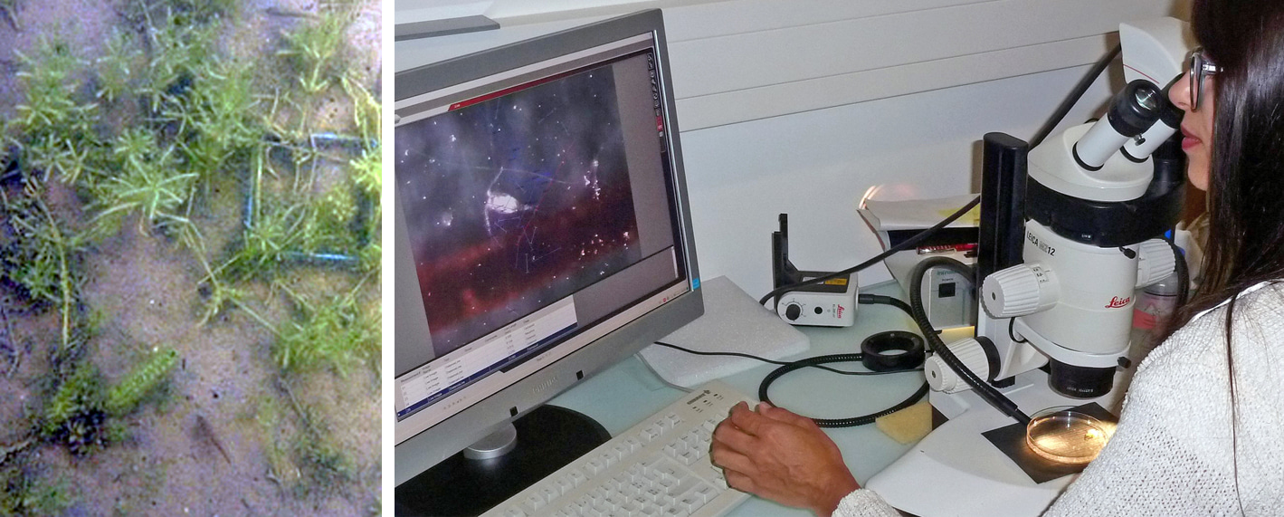 Impacts on ecosystems Impacts on ecosystems