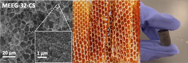 Comparison of MEEG-32-CS microstructure with beeswax hierarchical honeycomb structures observed in nature; An image of the synthesized MEEG-32-CS aerogels