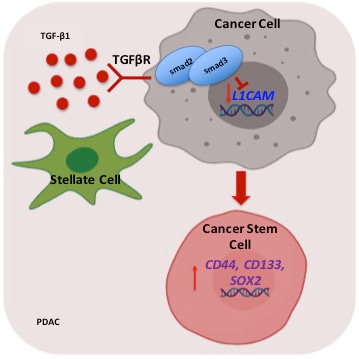 Working Model Working Model