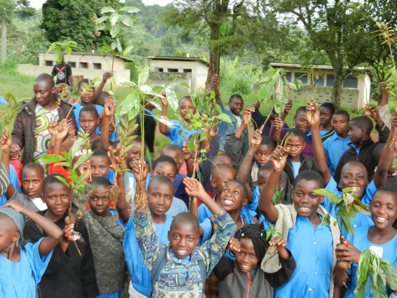 A group of children holding up plants

Description automatically generated