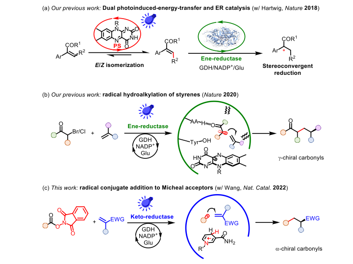 Fig. 1. Our effort in developing abiological transformations by steering the enzymes with light.