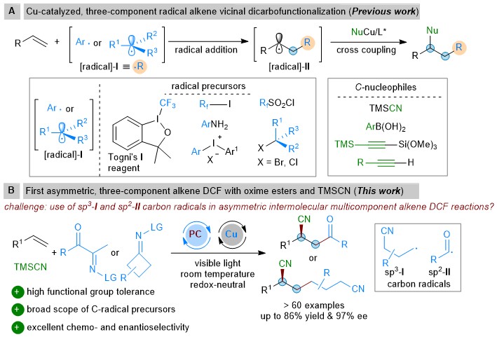 Catalytic asymmetric three-component radical dicarbofunctionalization reactions of alkenes.