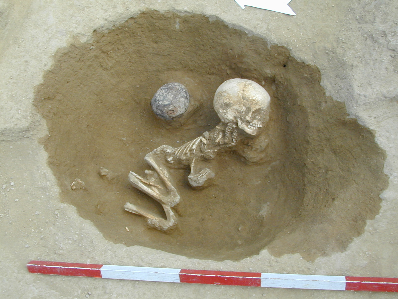 An Early Neolithic grave from Balatonszárszó (Hungary) that was also part of the mtDNA analyses.
