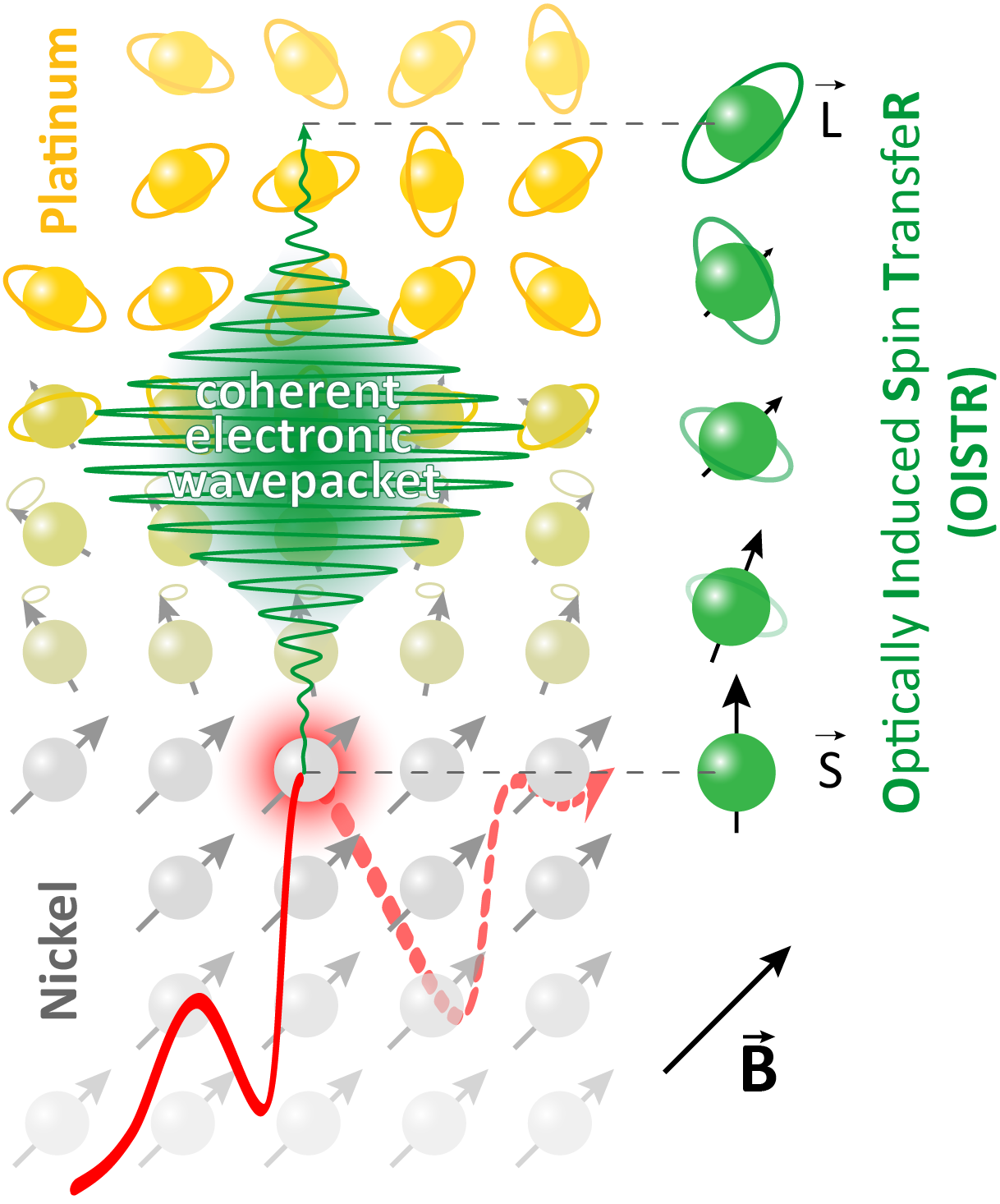 Coherent Magentism Coherent Magentism