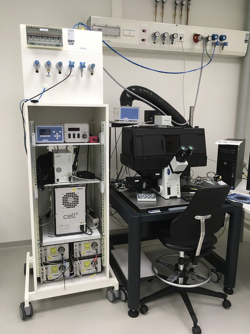 Photo showing 19” electronic rack with electrical power (at the back) and media supply (valves at the front), they were connected on the top to electricity and all media via sockets on the walls close to the ceiling.