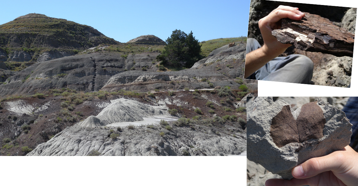 Cretaceous-Paleogene boundary, N. Dakota