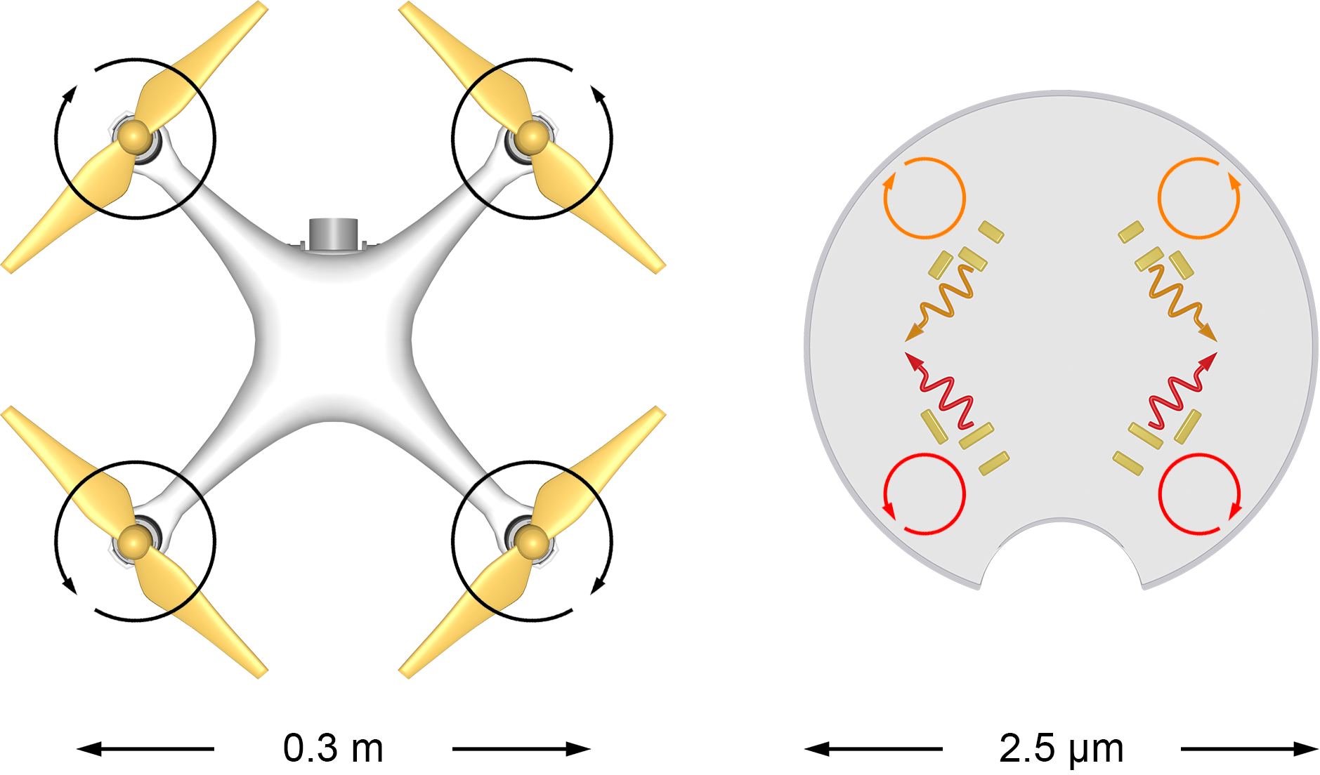 Figure 1. Top-view of a macroscopic quadcopter drone and a light-driven microdrone. Despite the tremendous difference in size, the motor configuration (two pairs of motors with opposite chirality) and control mechanism (by only adjusting the power of each motor) are very similar. The black circular arrows denote the rotation directions of the propellers of the quadcopter. The orange and red circular arrows denote the circular polarizations and wavelengths working for the nanomotors of the microdrone, respectively. The orange and red wavy arrows indicate the directions of light scattered by the nanomotors. 