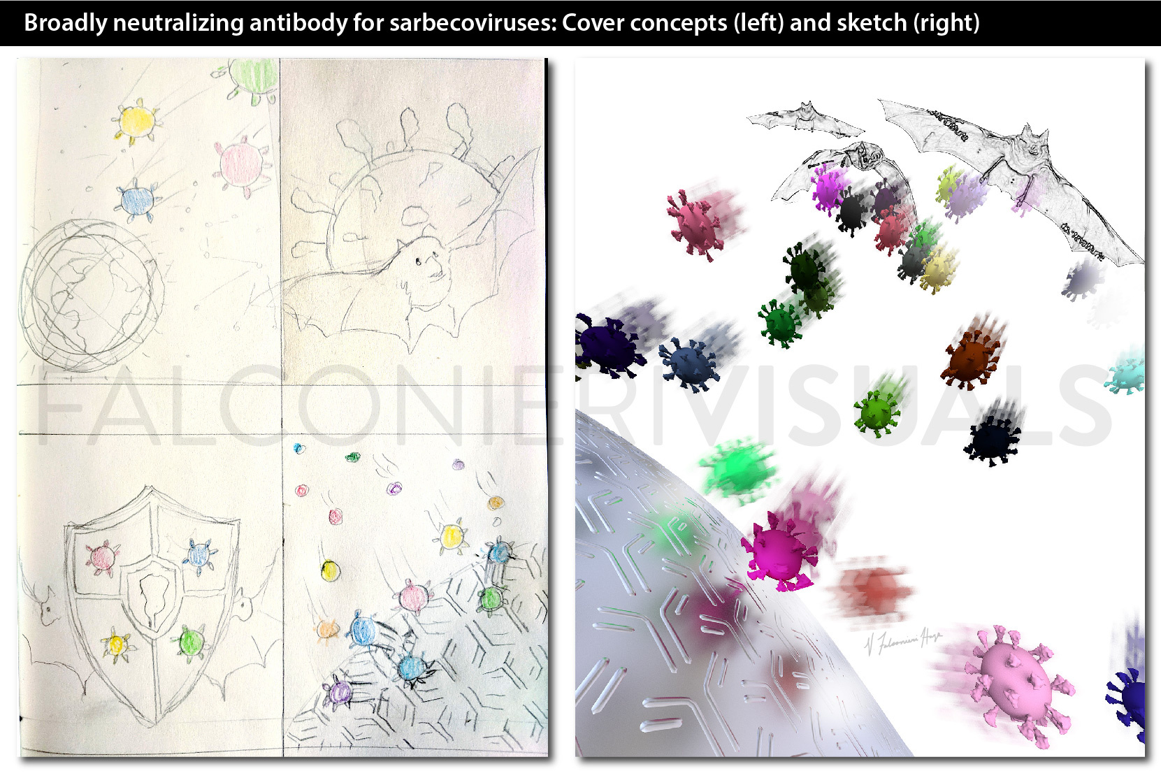 Broadly neutralizing antibody for sarbecoviruses: Cover concepts (left) and sketch (right) Cover concepts (left) and sketch (right) for an image representing broadly neutralizing antibody for sarbecoviruses