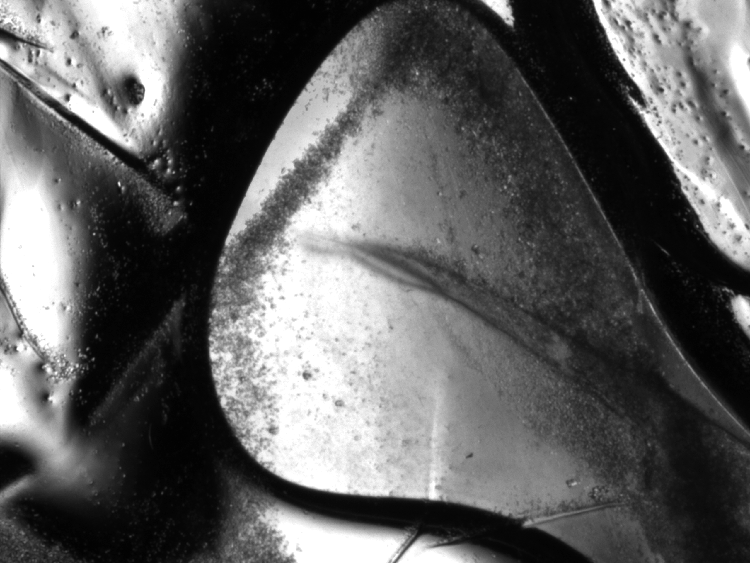 Experimental cell Experimental cell