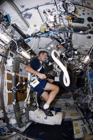 Excercising the cardiovascular system onboard the ISS Excercising the cardiovascular system onboard the ISS
