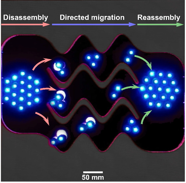 Infiltration process of a large Magbot assembly.