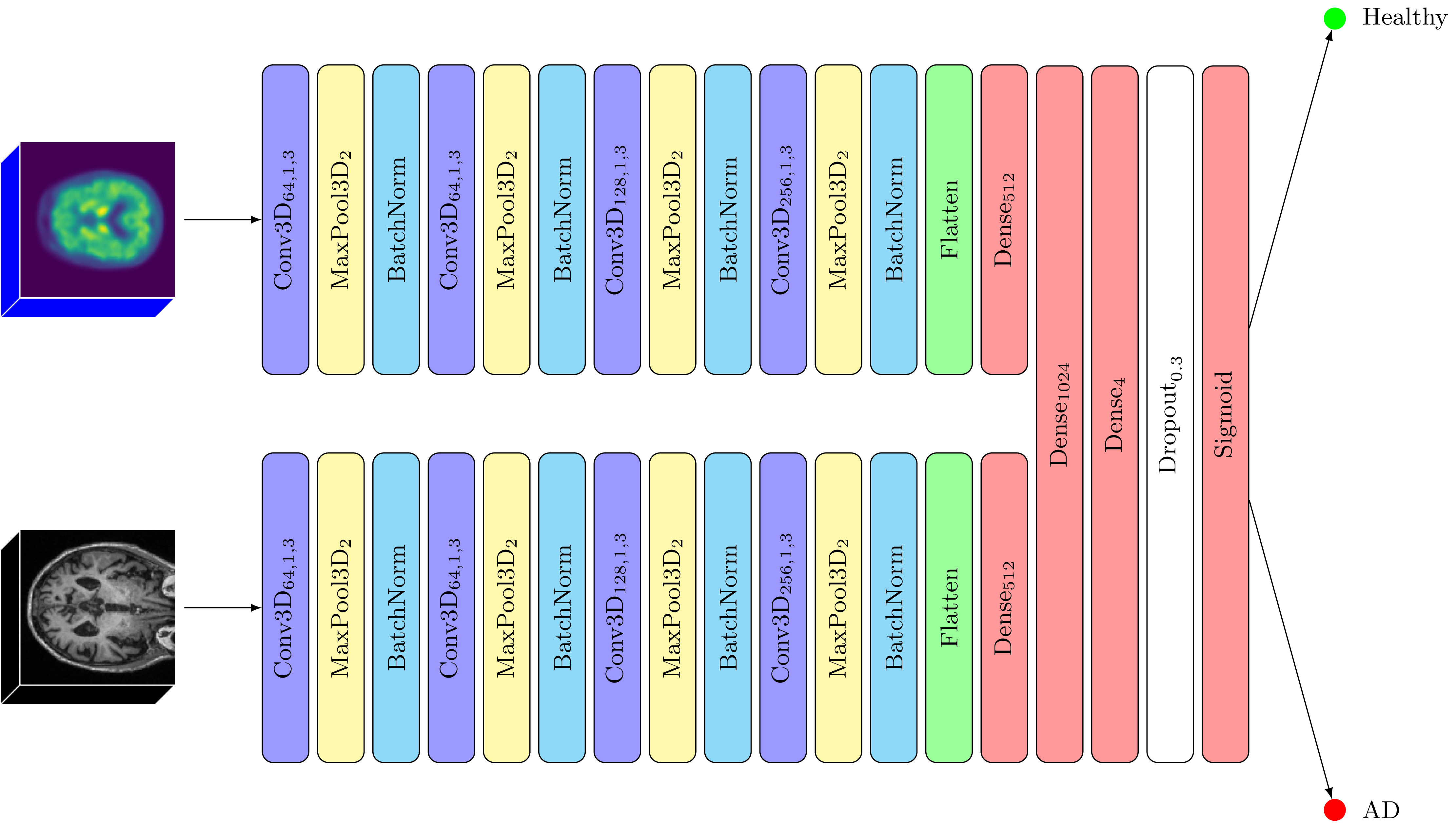 Architecture of the "fusion" model presented in the manuscript