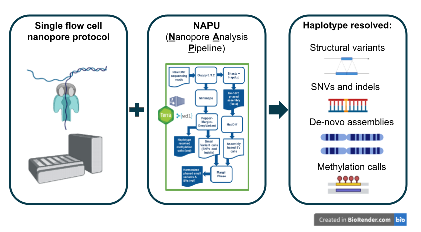 Graphical Method Overview