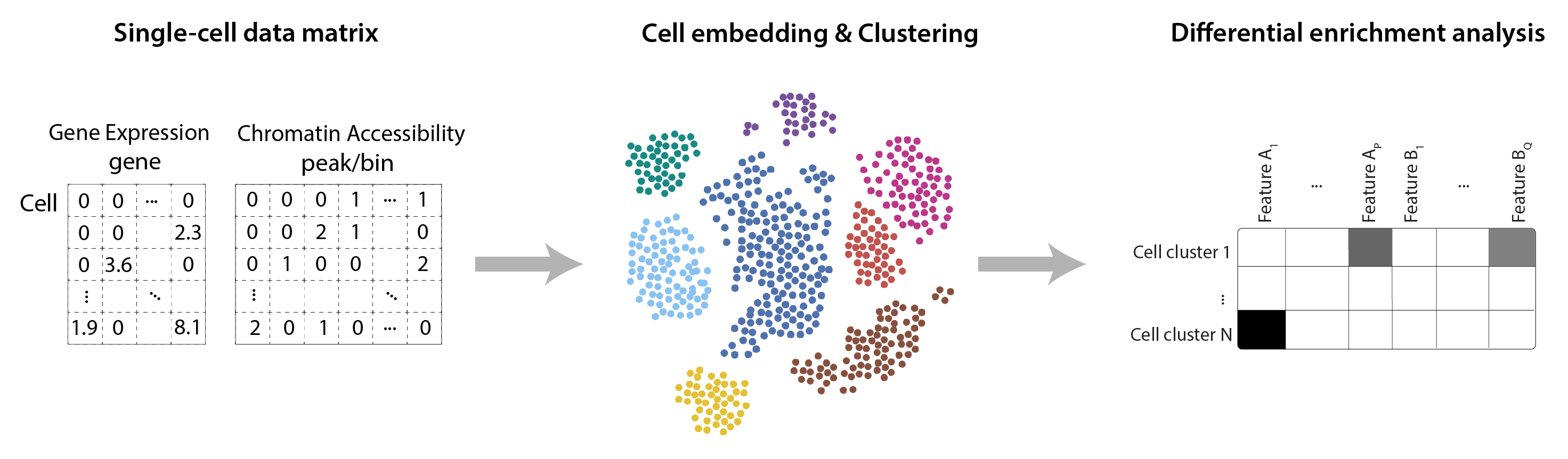 Standard single-cell data analysis framework
