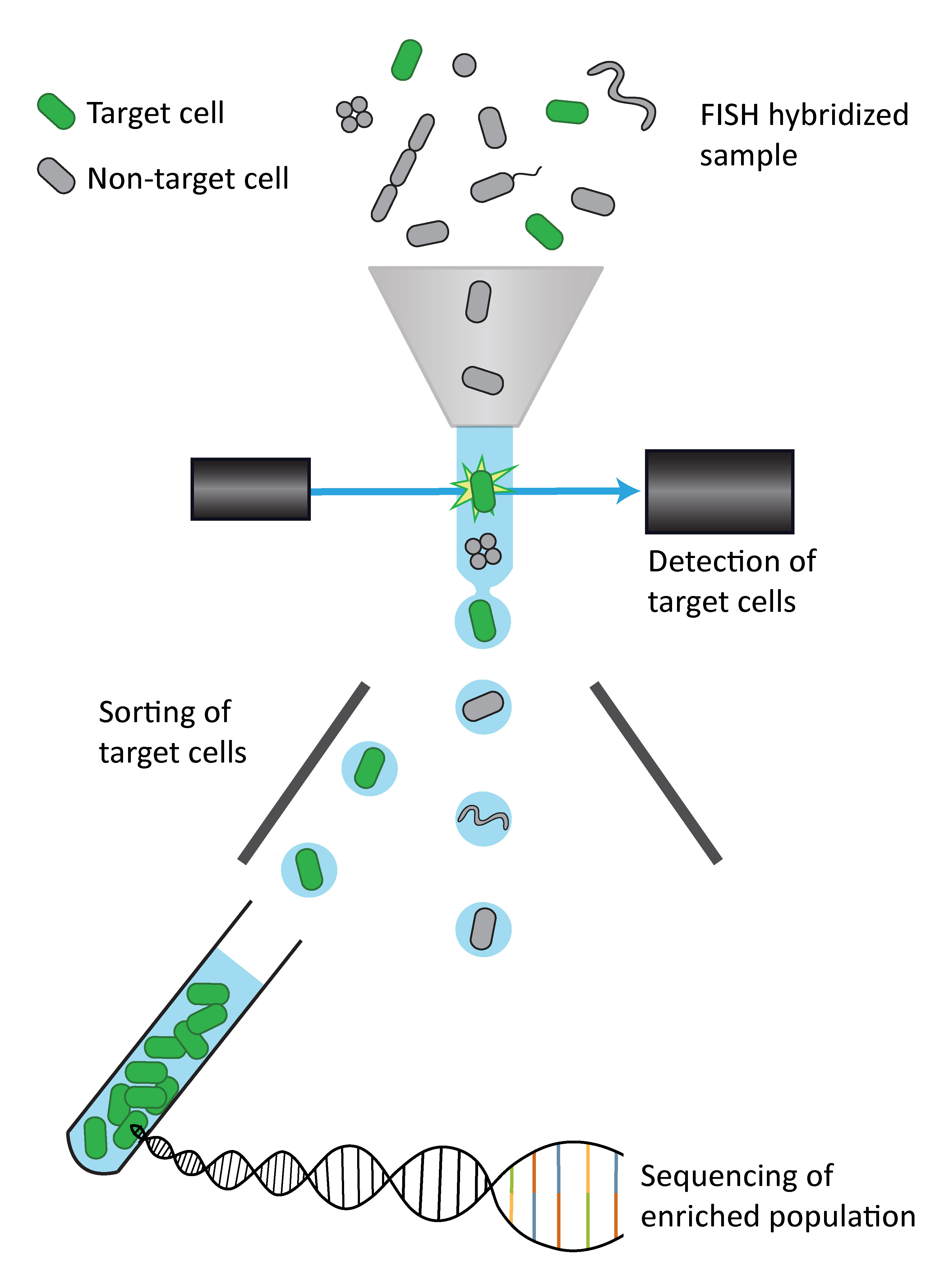 Targeted metagenomics Targeted metagenomics