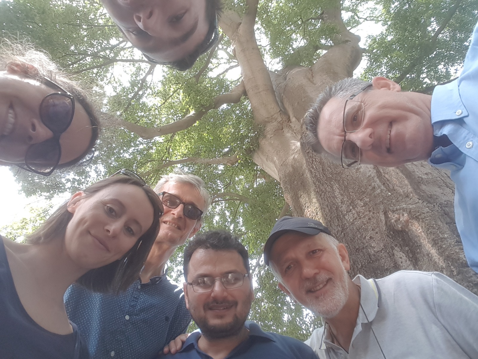 WOODIV group picture at the botanical garden in Montpellier