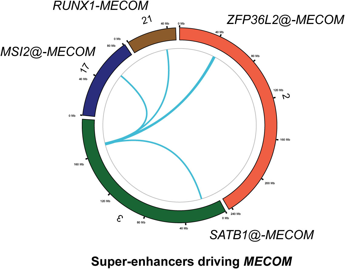 Super-enhancers driving MECOM expression