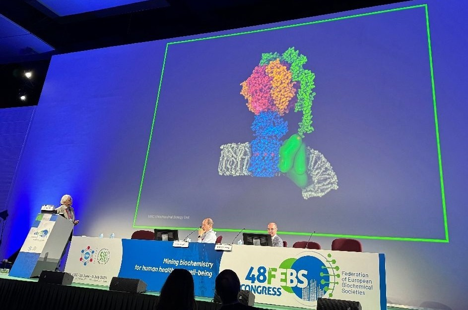 Photo of a speaker at a podium presenting slides and two people sitting at the stage table.