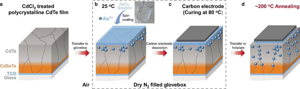 Figure 1 Schematic of low-temperature ex-situ doping in polycrystal CdSeTe solar cells.