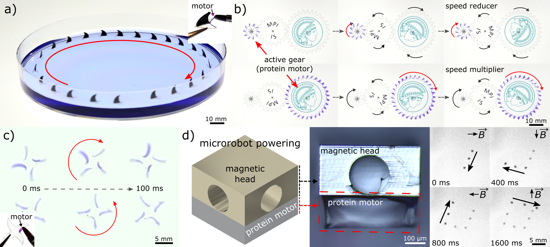 Multifunctional modular motors