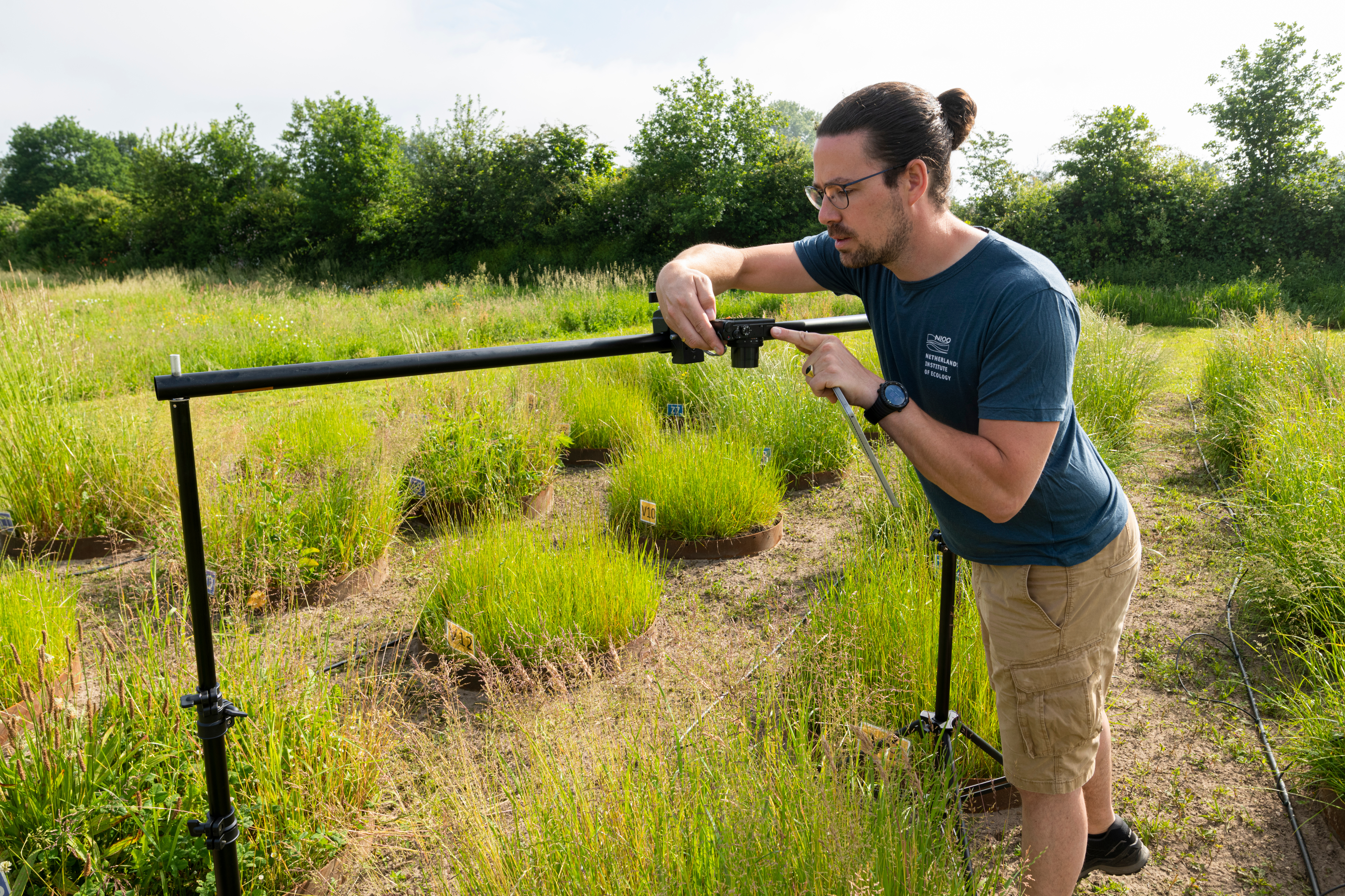 A researcher working at the Soil-tron