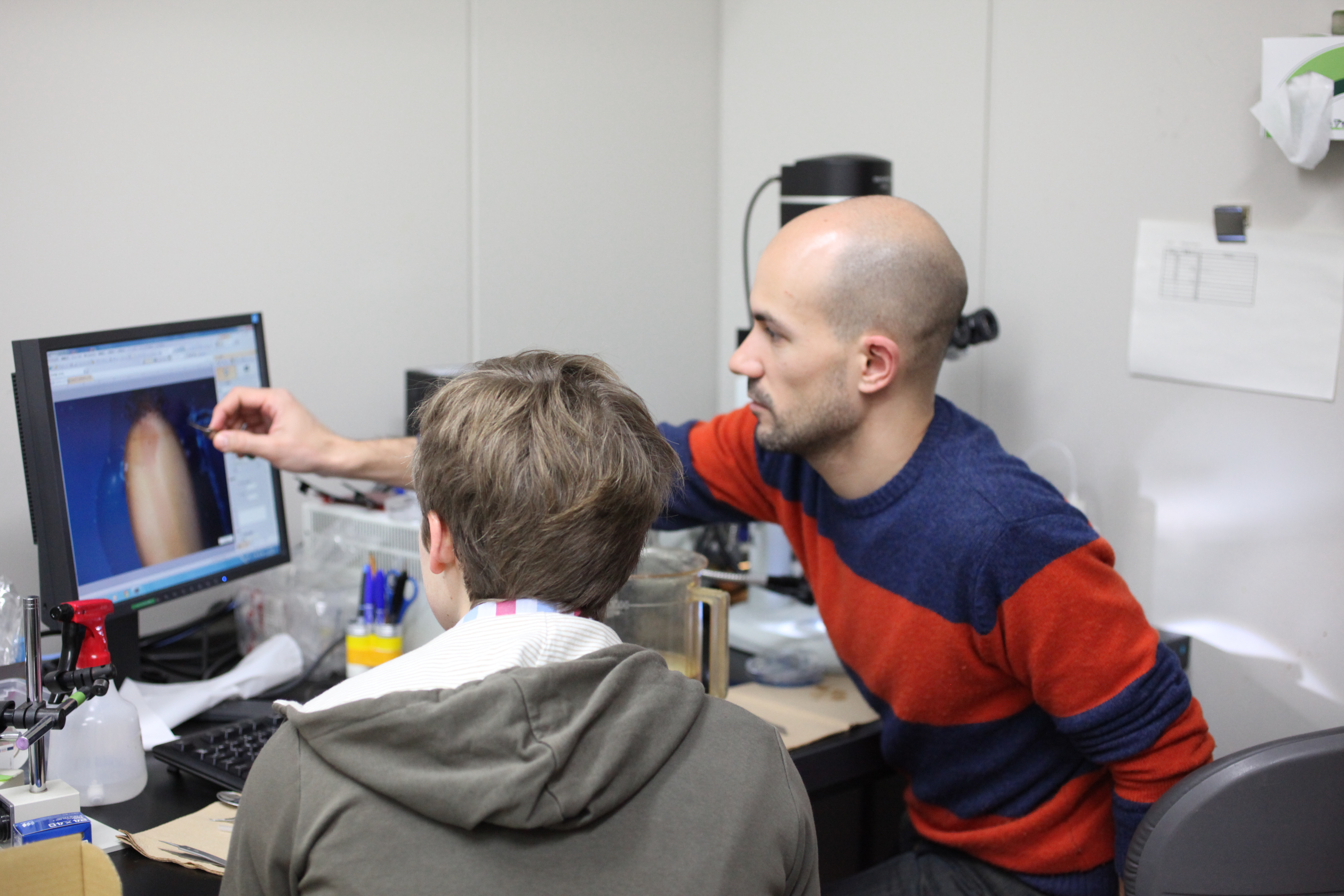 Sampling hagfish Sampling hagfish