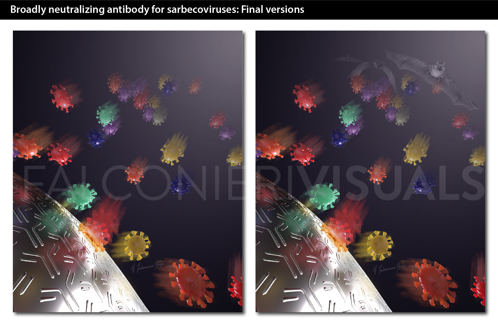 Broadly neutralizing antibody for sarbecoviruses: Final versions Final versions of the covers representing broadly neutralizing antibody for sarbecoviruses