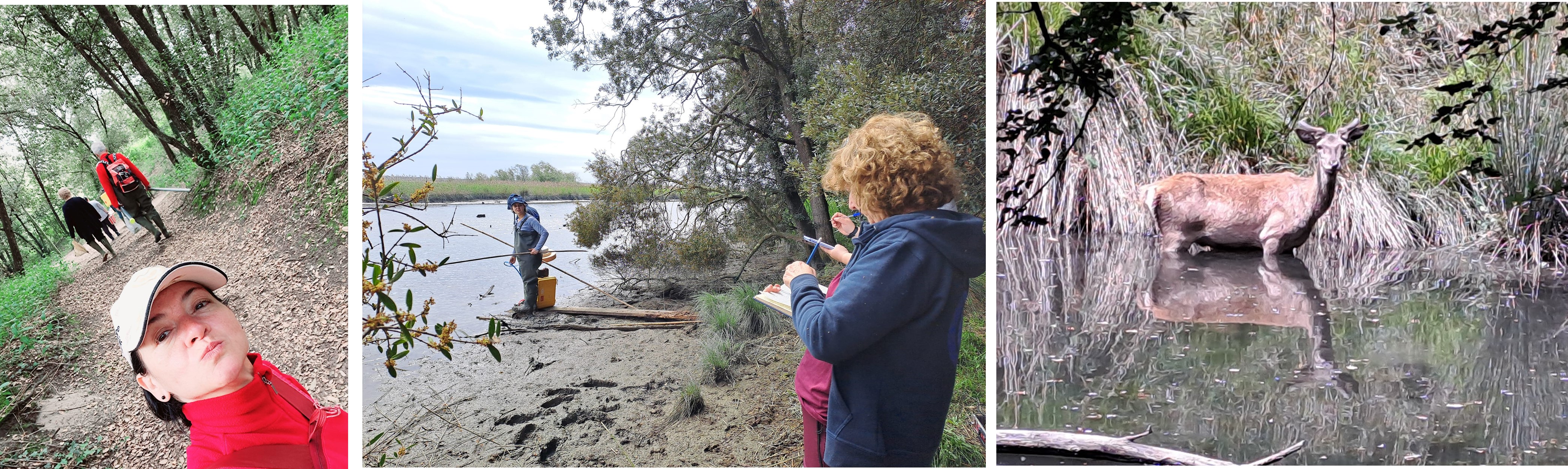 Fieldworks with my colleagues of Istituto di Geoscienze and Georisorse while assessing wetlands carbon sink potential at the Delta del Po Park, Ferrara (IT)
