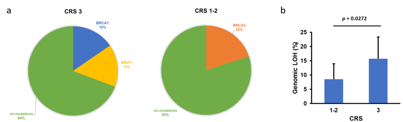 a) Frequency of CRS3 and CRS1/2 biopsy samples with HR pathway-related genomic alterations. b) Average genomic LOH in CRS3 and CRS1/2 biopsy samples. 