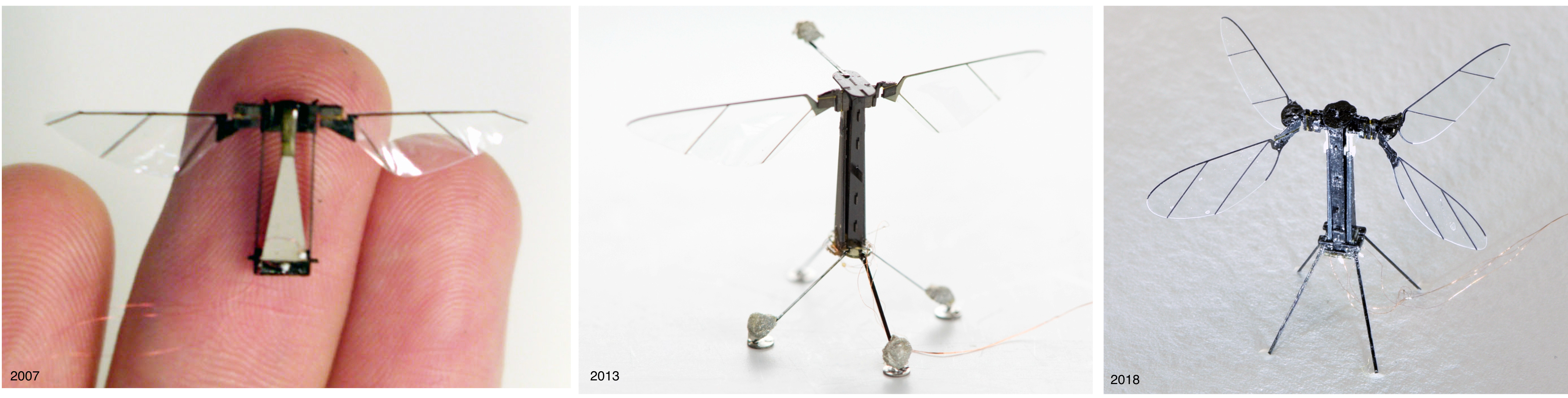 Several stages in the evolution of the RoboBee over the past decade.