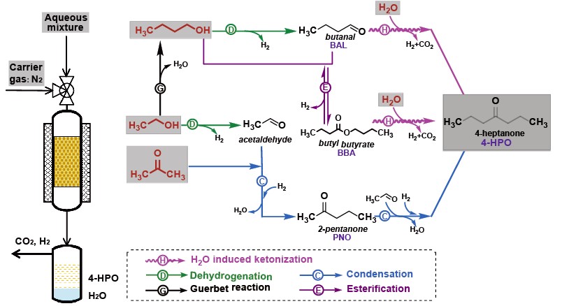 Proposed reaction pathways leading to 4-HPO with ABE solution as feedstock Proposed reaction pathways leading to 4-HPO with ABE solution as feedstock