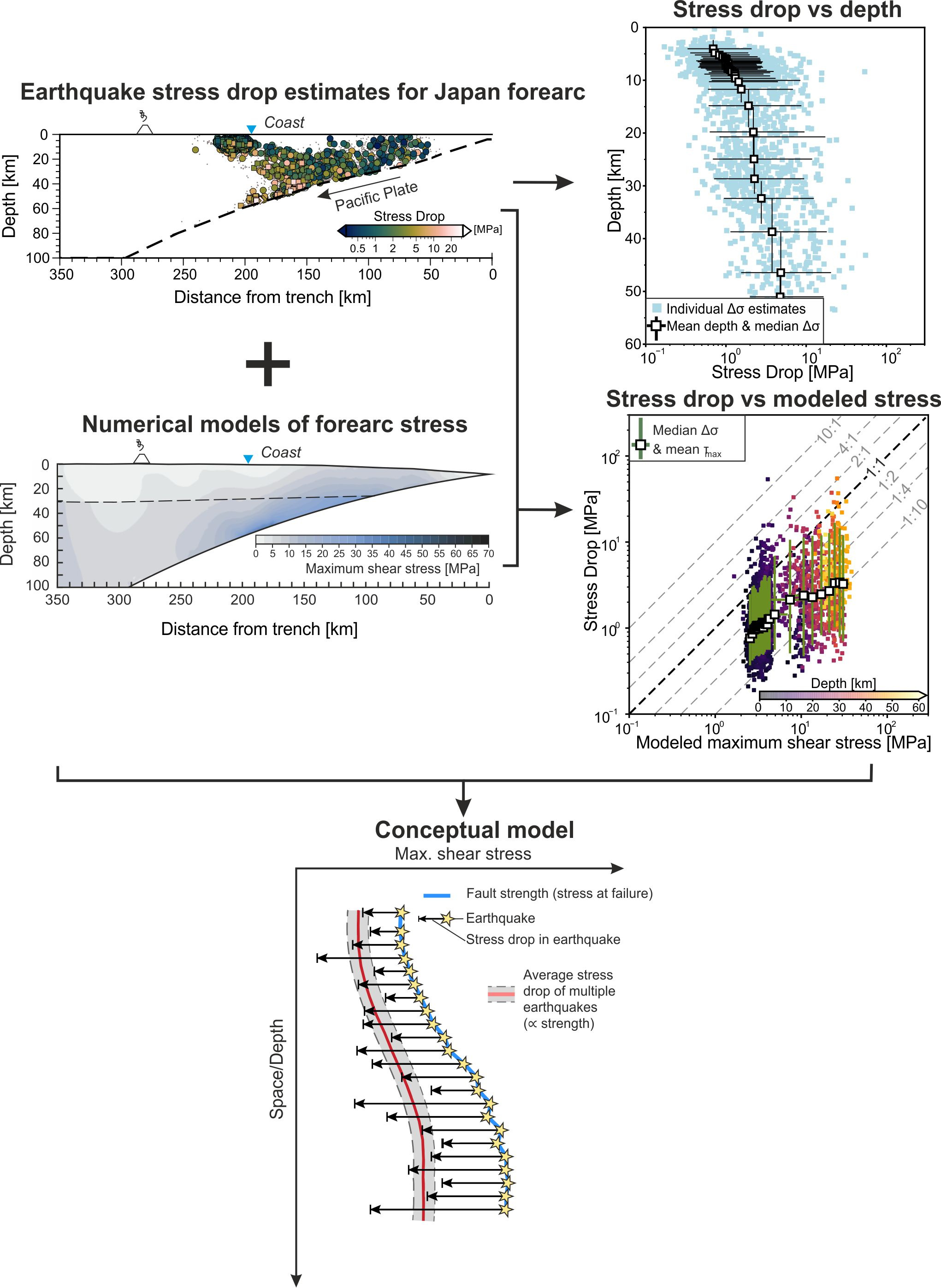 Figure 1. Schematic summary of the study by Bocchini et al. (2025). The study analyzes the relationship between earthquake stress drop, depth, and shear stress in the forearc of northeastern Japan. Stress drop (Δσ) values are derived from thousands of aftershocks of the 2011 Mw 9.0 Tohoku–Oki earthquake and display a systematic increase with depth. Finite-element numerical models of force balance estimate the absolute shear stress in the forearc lithosphere. Comparison of observed stress drop with modeled shear stress reveals a positive correlation, providing quantitative evidence that earthquake stress-drop scales with fault strength, i.e. maximum shear stress at failure. The results indicate that stress drop can serve as a seismological proxy for relative crustal strength in the brittle lithosphere.