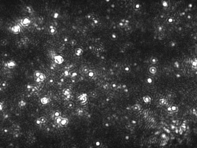 Extracellular vesicles visualized via nanoparticle tracking