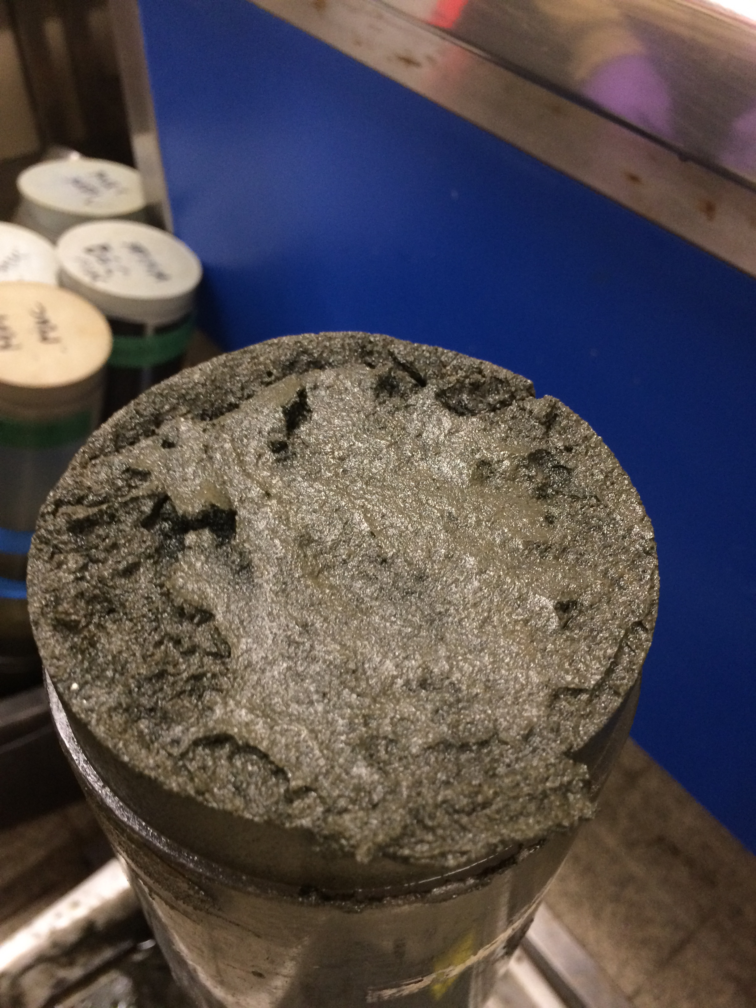 Cross section of the Namibian sediment core