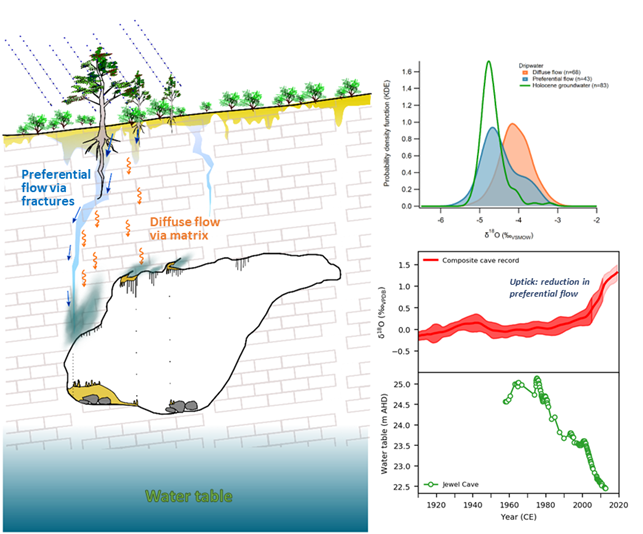 A conceptual model of the transport processes controlling the incorporation of stable water isotopes into speleothems. Distributions of δ18O values for Golgotha drip water and groundwater and the uptick in cave δ18O data that is interpreted to be a reduction in preferential flow reaching the cave. The uptick in speleothem and drip water δ18O values (red; values are mean subtracted) mirrors the local water table decrease beneath Jewel Cave (green). Credit: Priestley et al., (2023), Figure 3 and 5.