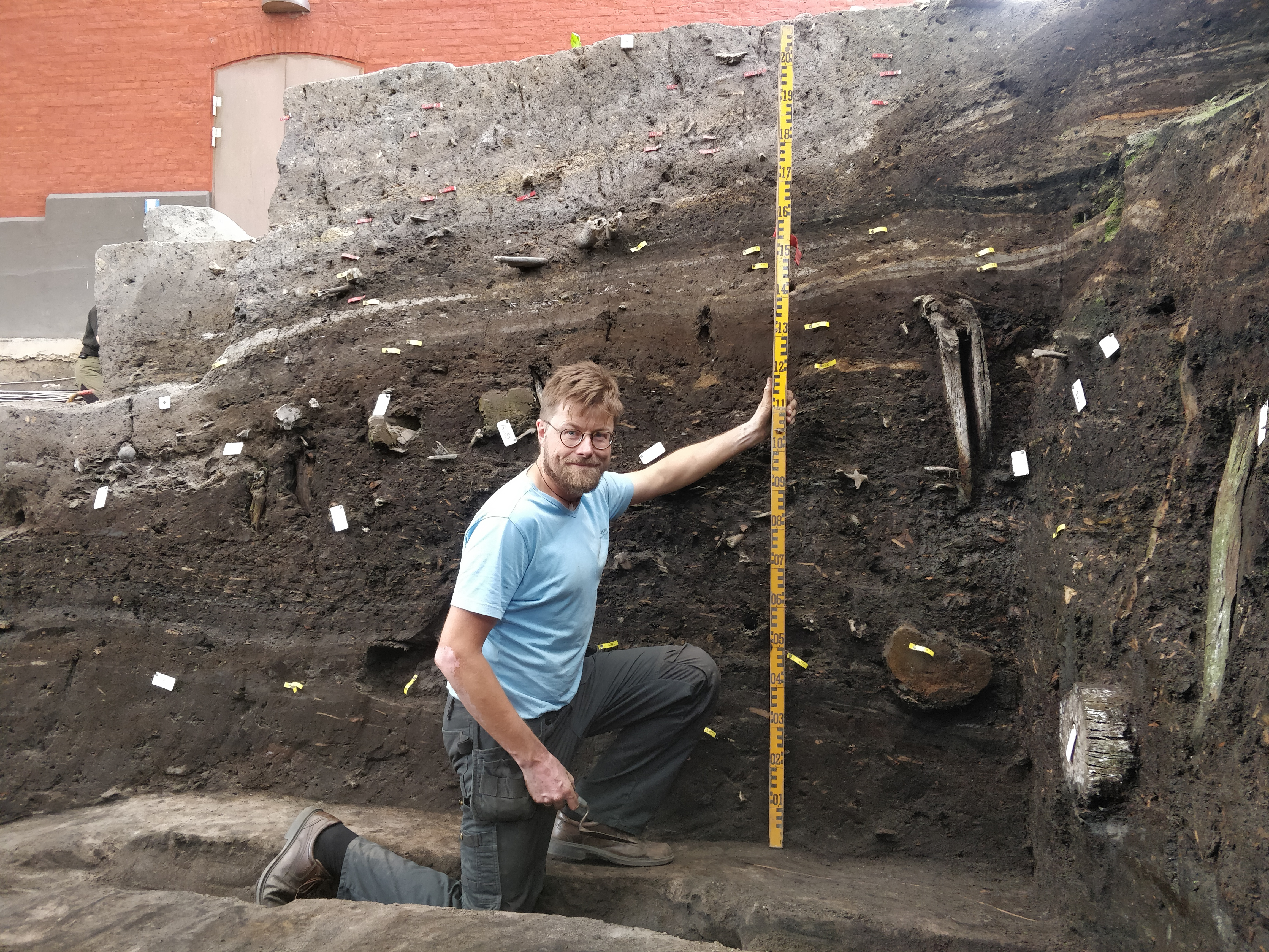 A photograph of the Viking Age layers at Ribe, exposed in a profil.
