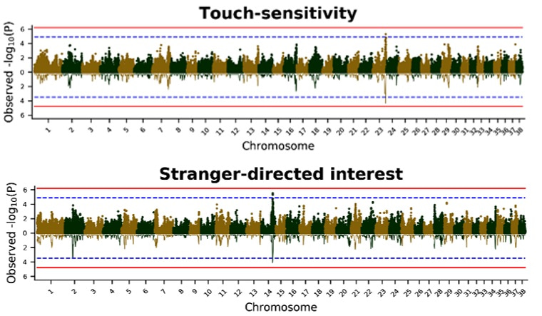 Association plots
