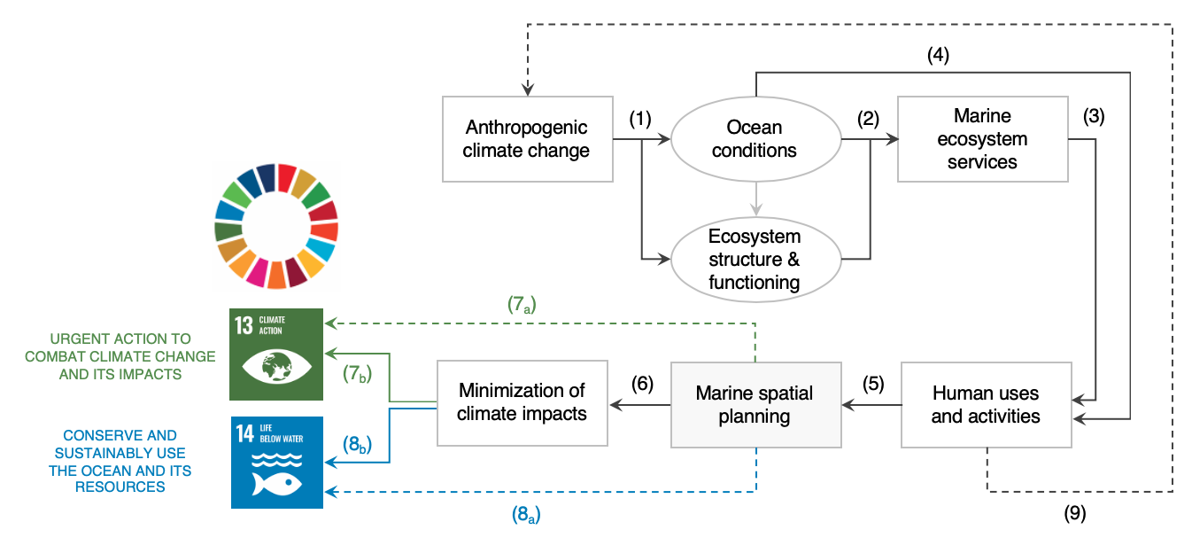 Conceptual model