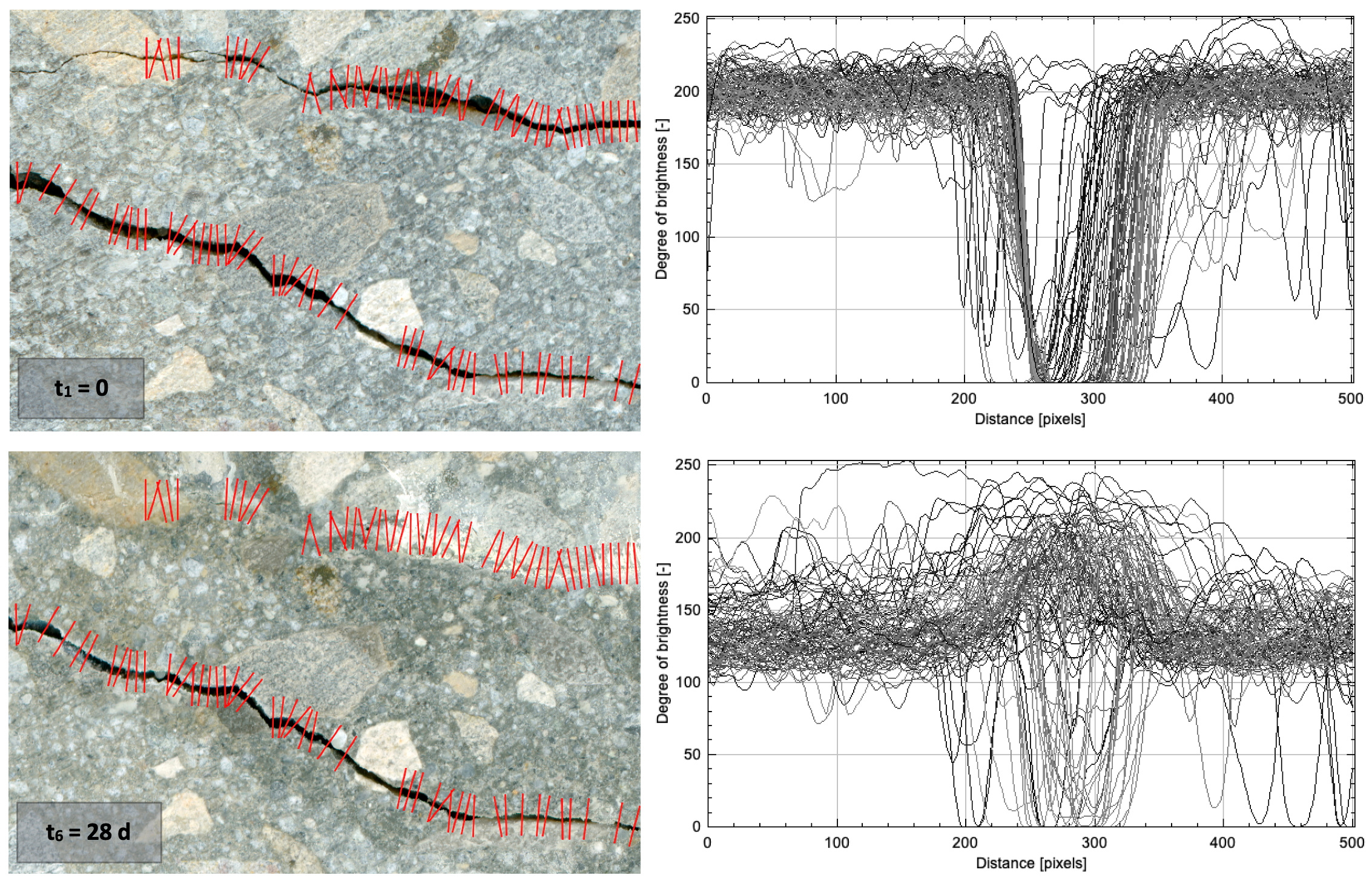 Scans of the surface of a concrete sample with cracks immediately after their induction and after 28 days of self-healing, including grid lines and brightness profiles.