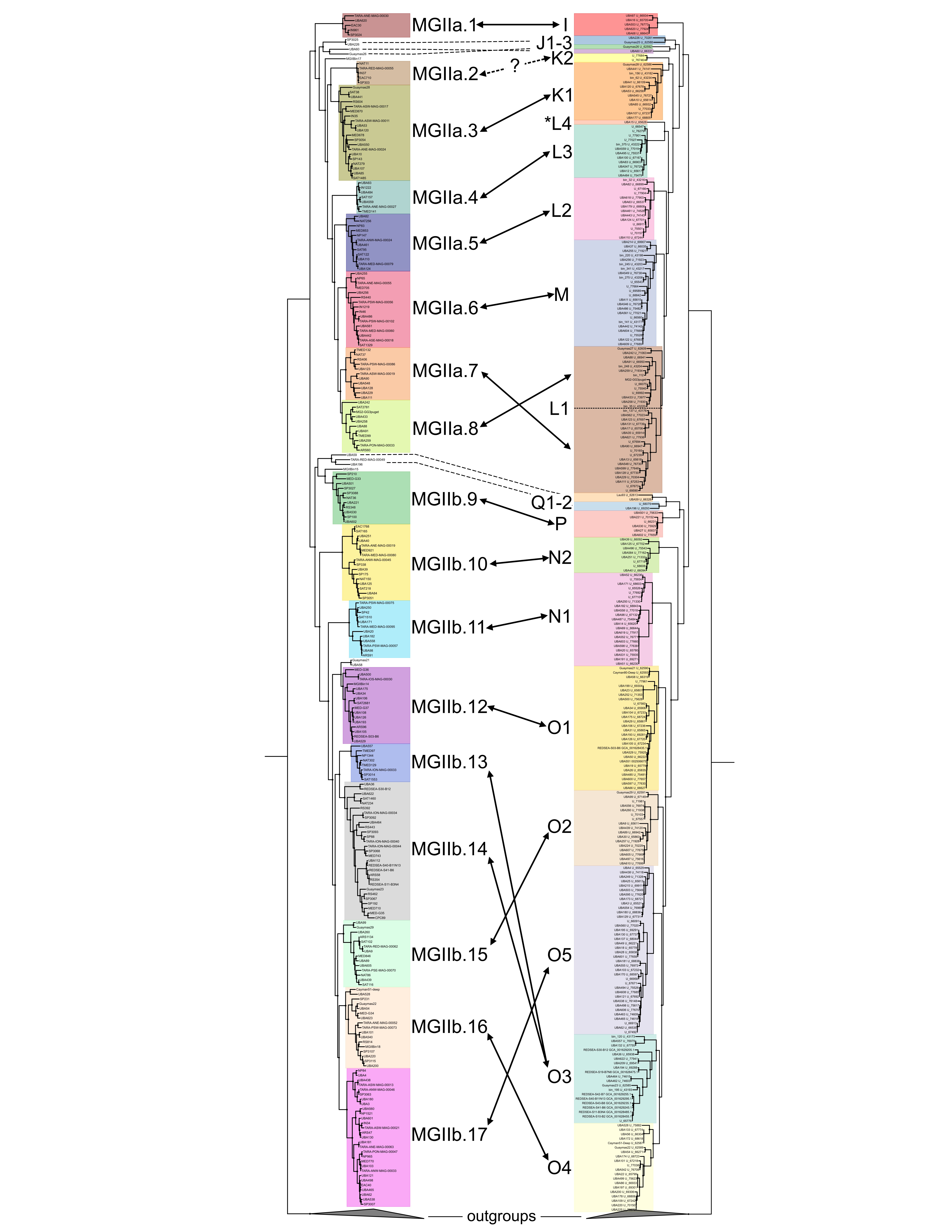 Phylogenomic comparison between subclades and genera identified in Tully (2019) and Rinke et al. (2018), respectively. Phylogenomic comparison between subclades and genera identified in Tully (2019) and Rinke et al. (2018), respectively.